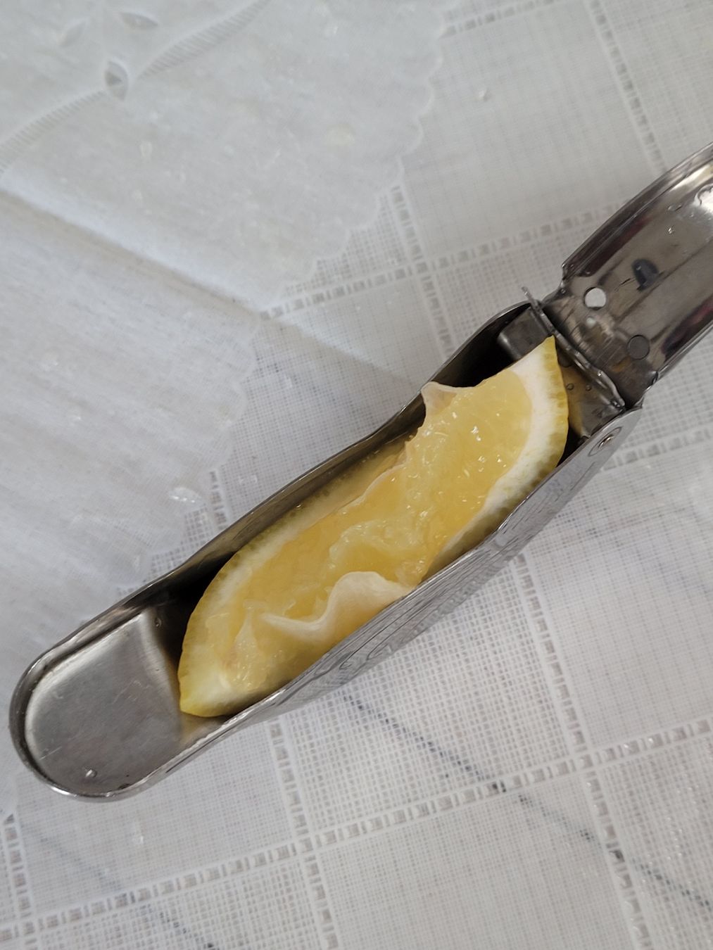 Elettrodomestici da cucina: Zitronenpresse 1 Portion Edelstahl – Usato da Buttikon SZ venduto da Corendo 1