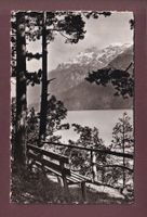 Katzenpfad bei RINGGENBERG - 1952
