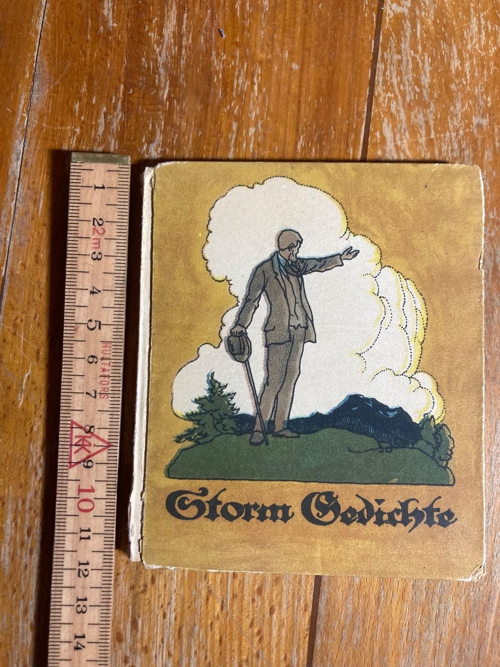 Libri: Buch Storm Gedichte illustré vintage – Usato da St-Cierges venduto da LeRegain 7