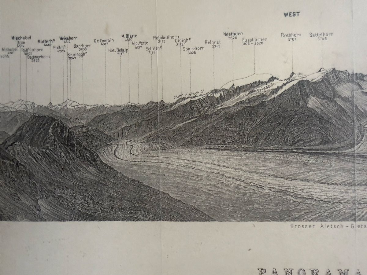 Foto & Immagini: Panorama vom Eggishorn mit Gletscher Grösse: 70cmx18cm  – Usato da stans venduto da zie_m2nf 3