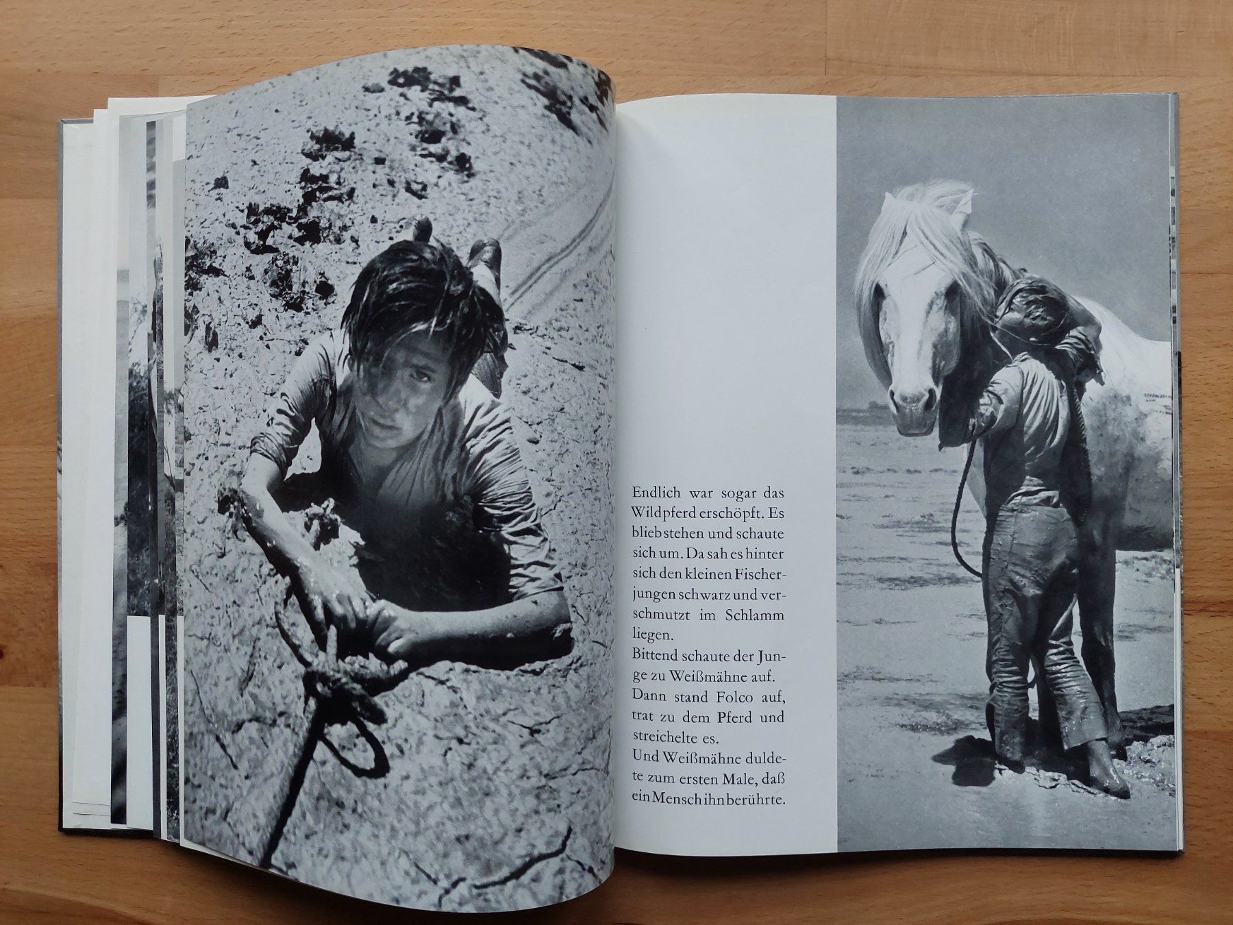 Livres: Der weisse Hengst - Albert Lamorisse – D'occasion à Obfelden par Foto_Bild_Kunst_Buch 7