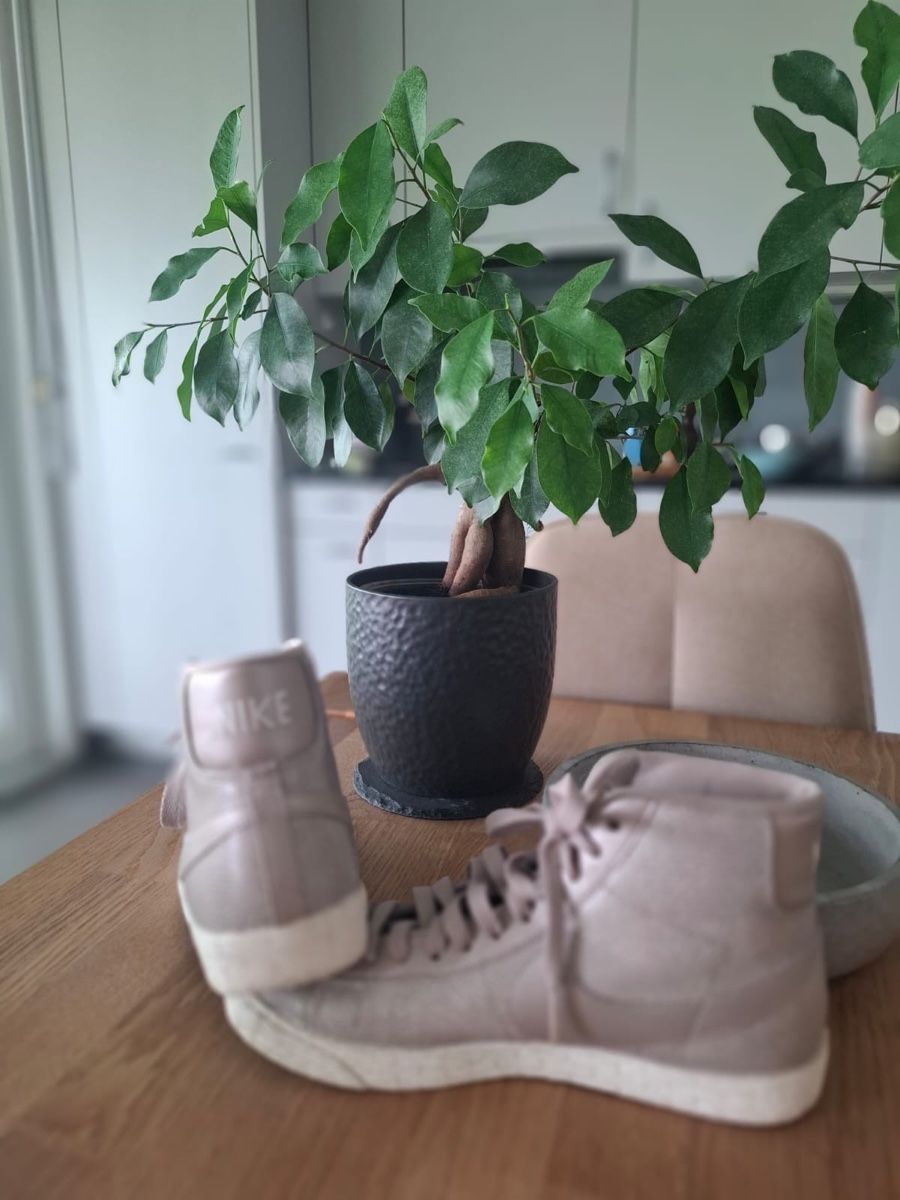 Nike Damenschuhe: Nike Blazer – Gebraucht aus Wettingen von fau_g78n 1