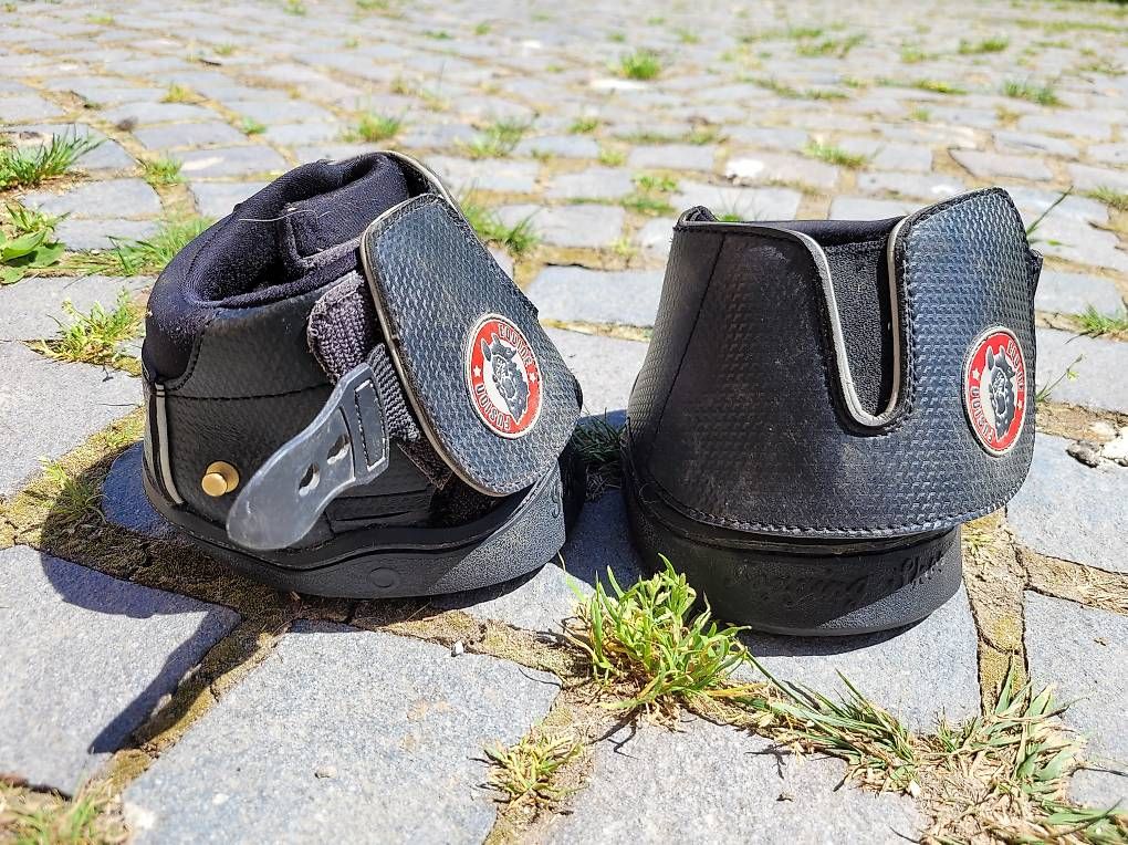 Scarpe per cavalli: Active Jogging Shoe - Slim 12 – Usato da Lichtensteig venduto da Streussel 1