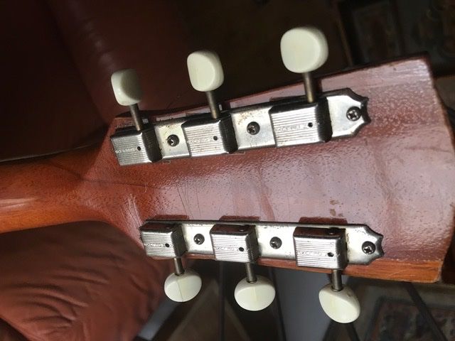Strumenti musicali: VEGA Archtop Gitarre – Usato da Zürich venduto da gemuesebouillon 3