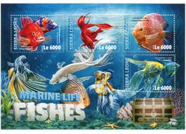Block "Fische". Sierra Leone.