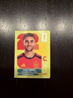 Panini Torres
