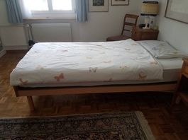 Gesundheitsbett mit Elektromotoren