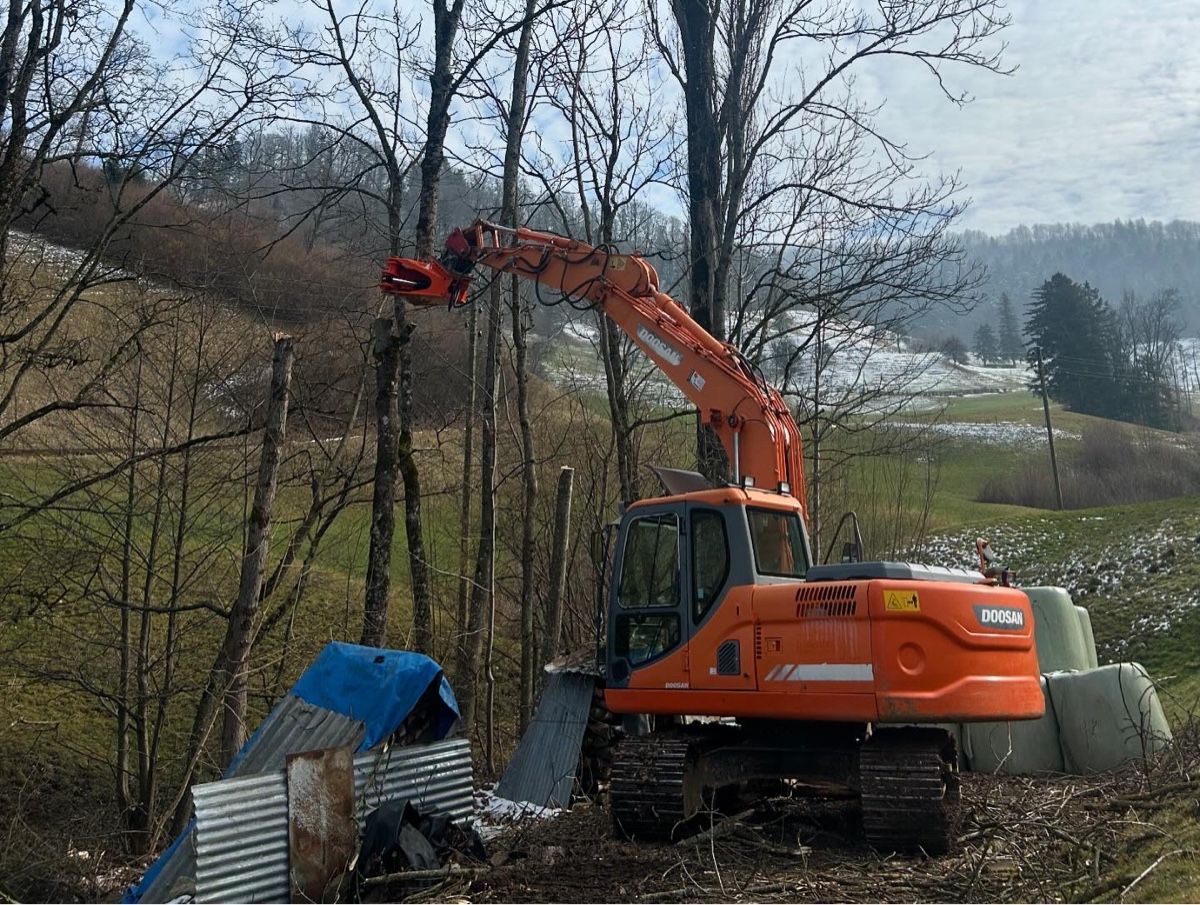 Doosan Escavatori: Bagger Doosan dx 140 – Usato da Lausen venduto da sil_5stv 4