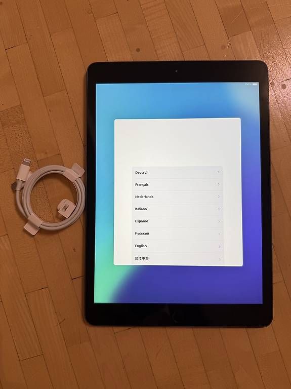 Tablet PC: iPad Gen.8 Model A2270 mit 32GB Space Grey – Usato da Scherzingen venduto da polini42