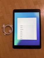 iPad Gen.8 Model A2270 mit 32GB Space Grey