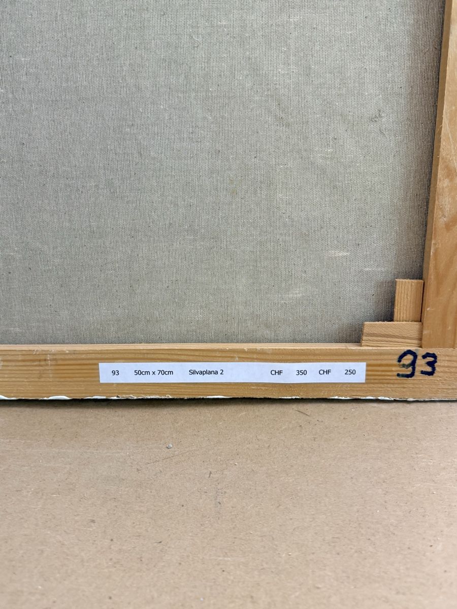 Dipinti: Ölgemälde 70x50cm, signiert  – Usato da Solothurn venduto da NUVICO 4