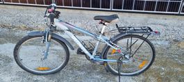 Kinder Velo Specialized 24"
