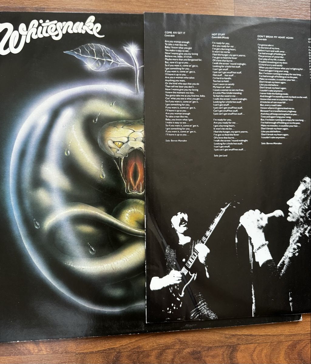 Dischi in vinile: Whitesnake - Come An' Get It - LP - 80s Rock – Usato da Rorbas venduto da BlackstarRecords 2