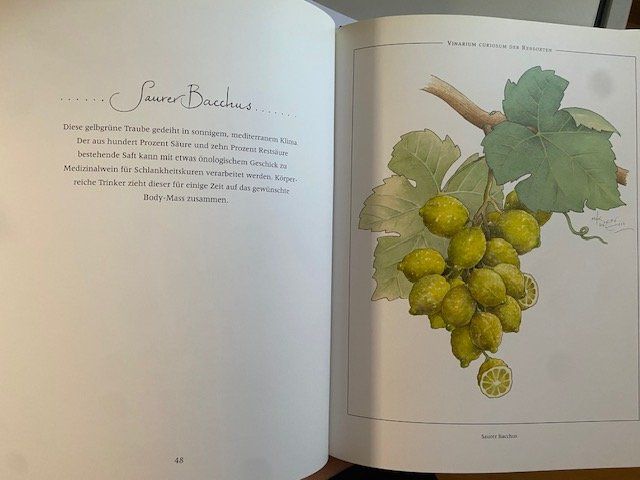 Libri: OSKAR WEISS, Weinfestival. – Usato da Sulz AG venduto da fischueberalles 1