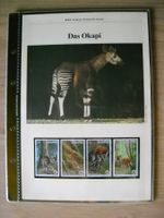 WWF World Wildlife Fund Okapi Informationen Zaire Briefma...