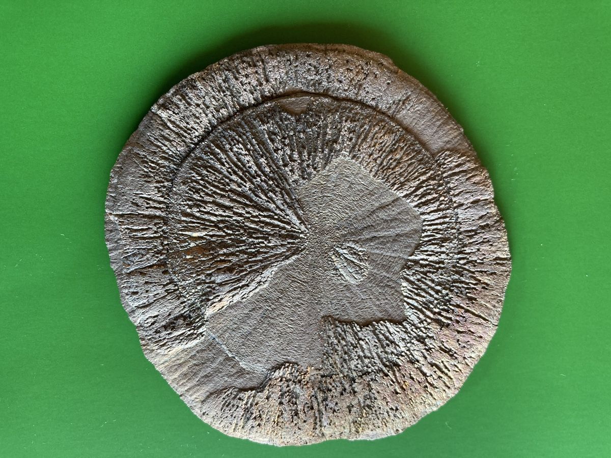 Minerali & Pietre curative: Grosse Pyrit-Sonne / Seltenheit – Nuovo e nell'imballaggio originale da Sornard - Nendaz venduto da Mapere 1