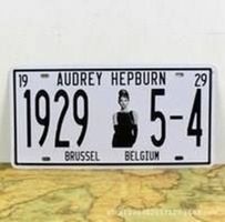 License Plates Nummernschild-AUDREY H29