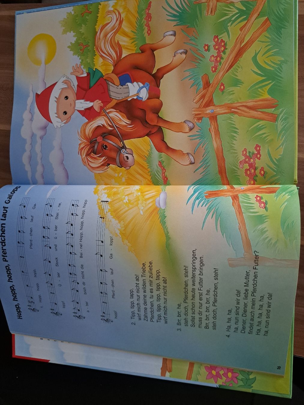 Libri: Sandmännchen Liederbuch – Usato da Kloten venduto da 1Life 1