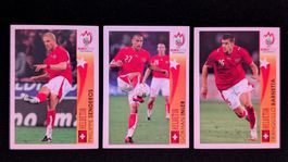 Panini Euro 2008 - Mini lot Suisse