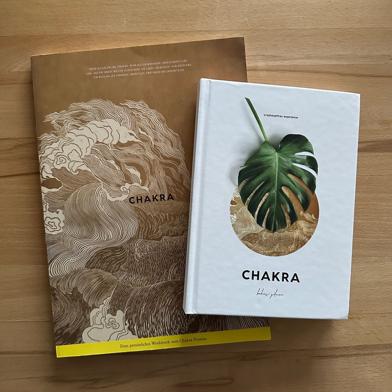 Libri: CHAKRA Workbook und Book von Bahar Yilmaz – Nuovo (secondo la descrizione) da Sax venduto da kaulquappe01