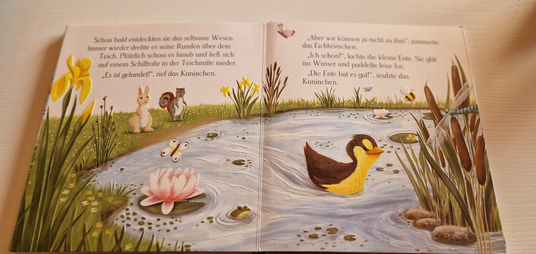 Libri: Die kleine Ente, Bilderbuch – Nuovo (secondo la descrizione) da Oberdorf BL venduto da Eselsohr21 3