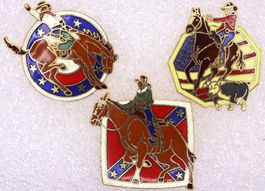 3 Pins  RODEO