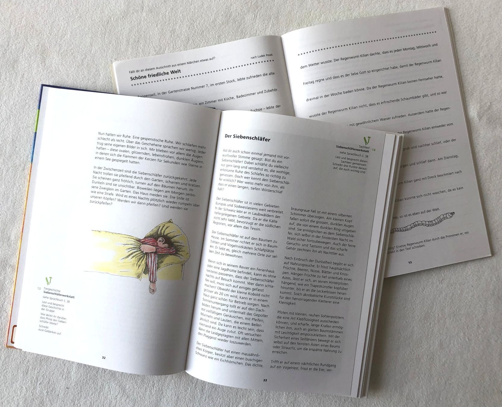 Libri: Schweizer Sprachbuch 4 mit Arbeitsheft – Usato da St.Gallen venduto da Paddington11 6