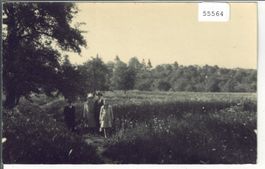Sonntagsspaziergang