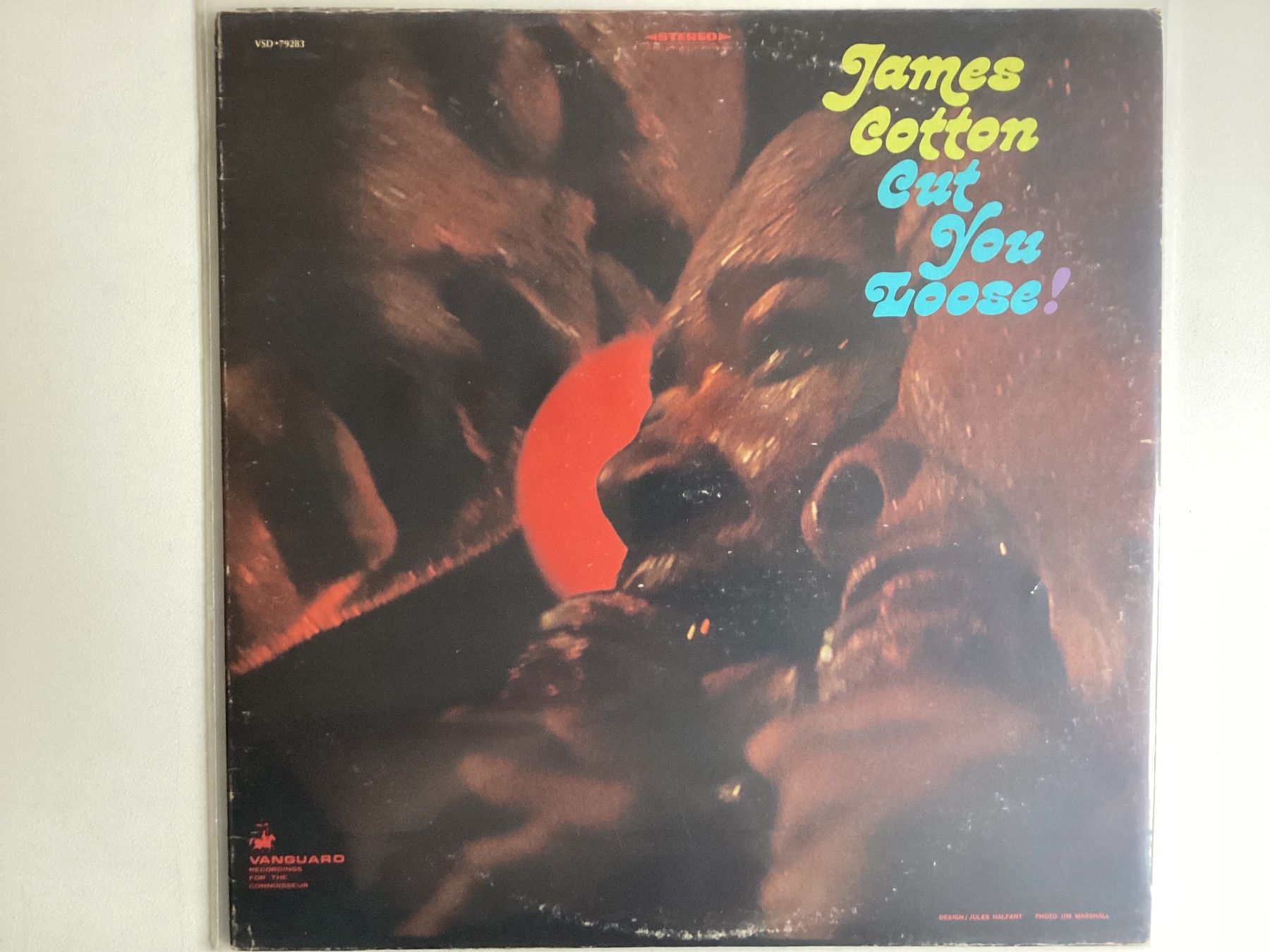 Dischi in vinile: James Cotton LP - Cut You Loose – Usato da Gutenswil venduto da Hamzian