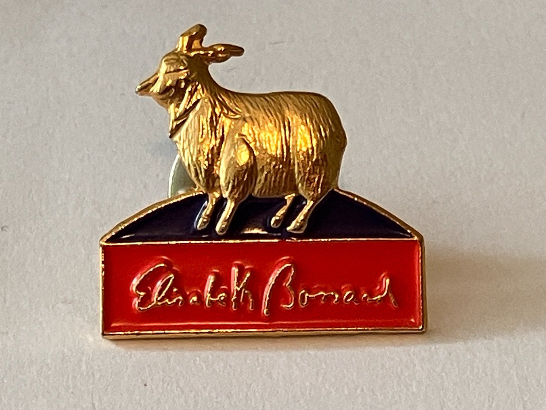 Plaketten & Abzeichen: 1 Pin Elisabeth Bornard – Gebraucht aus Basel von djwwpp