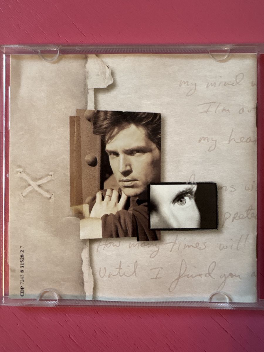 CD: Richard Marx - Flesh And Bone – Usato da Lützelflüh-Goldbach venduto da Deiv4 2