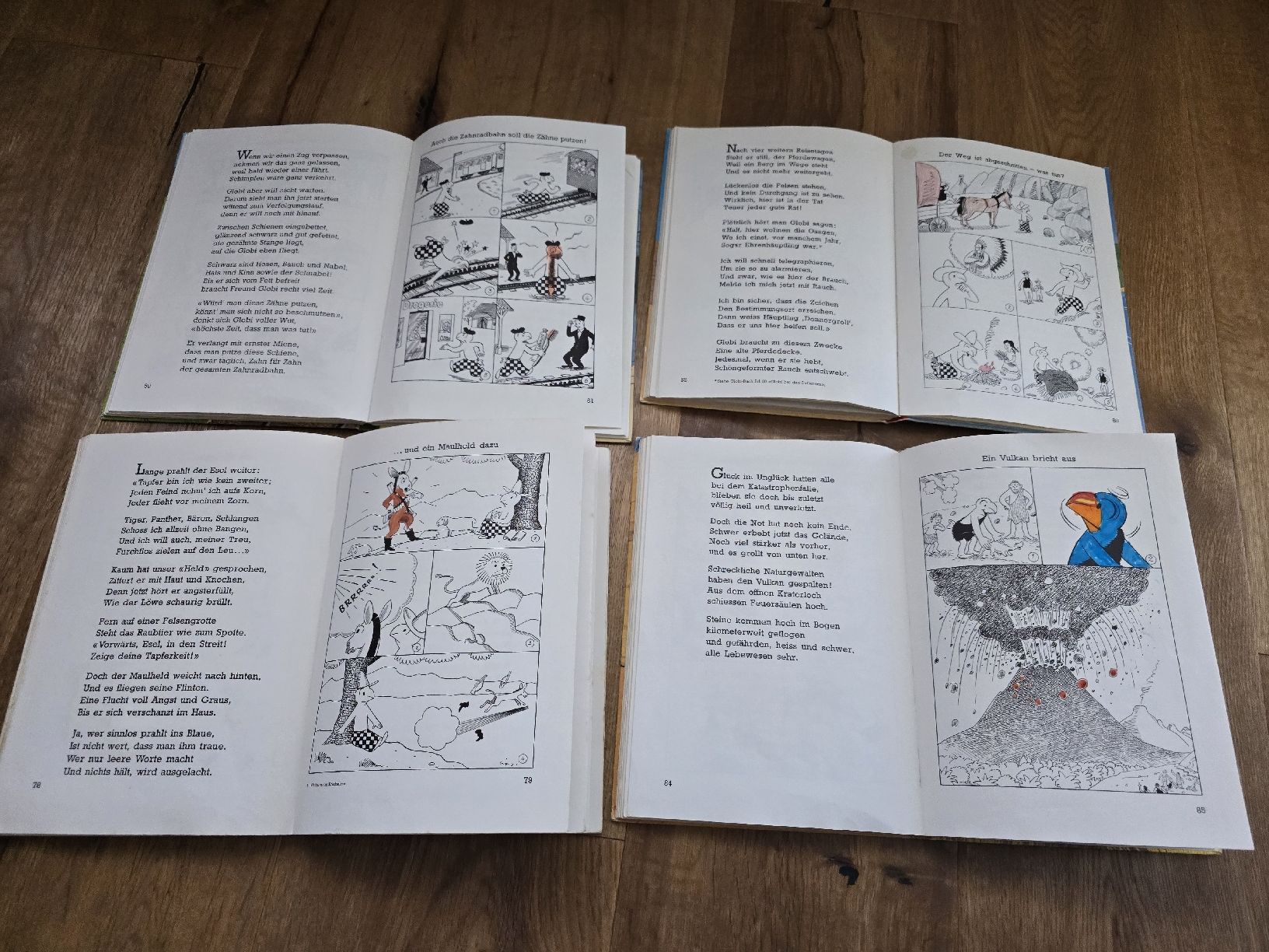 Libri: alte globi bücher  set – Usato da Wittenbach venduto da Tigerlili 6
