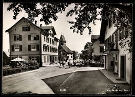 AK Wolfhalden /App., Strassenpartie mit Kühen und Kirche