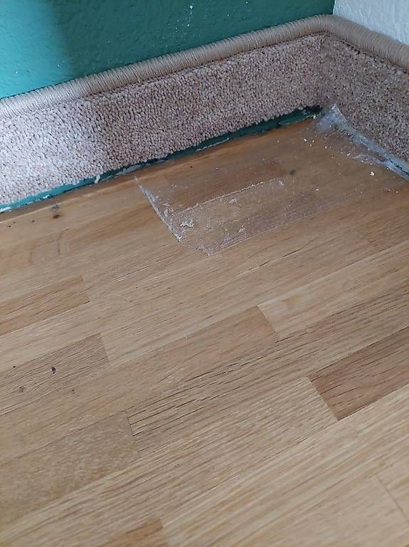 Tapis: Auslegware Teppich – D'occasion à Fehraltorf par lameduckalex 3