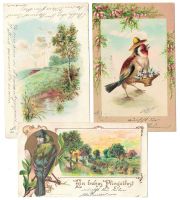 3 Litho - Karten, Pfingsfest, aus Jahren 1902-03-05