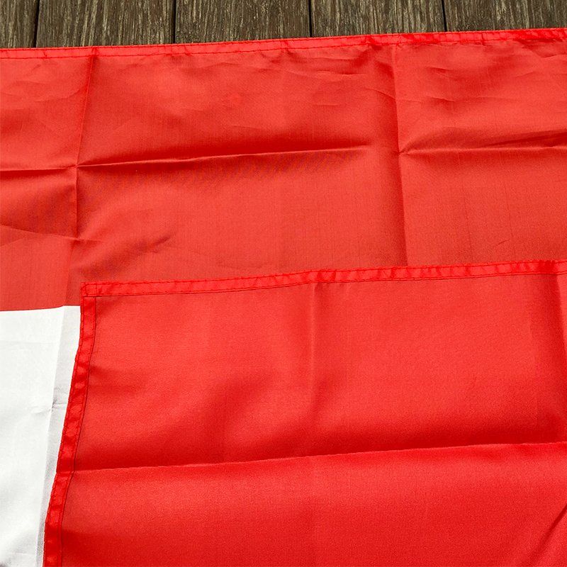Bandiere: ✅ NEU Schweizer Flagge Rechteckig 150x90cm – Nuovo e nell'imballaggio originale da Wittenbach venduto da ChinaSeidenstrasse 6