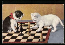 Zwei kleine Katzen spielen Schach, Brett