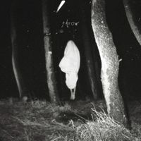 Flood Of Red - Throw (Digipack)