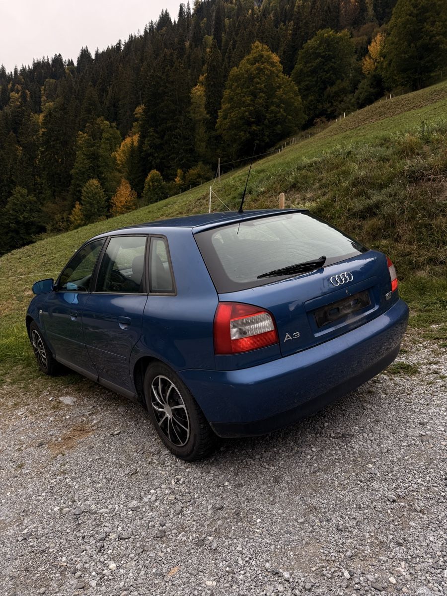 Audi Automobili: Audi A3 1.8T Quattro 8fach Bereift – Usato da Zwischenflüh venduto da PilotM 1