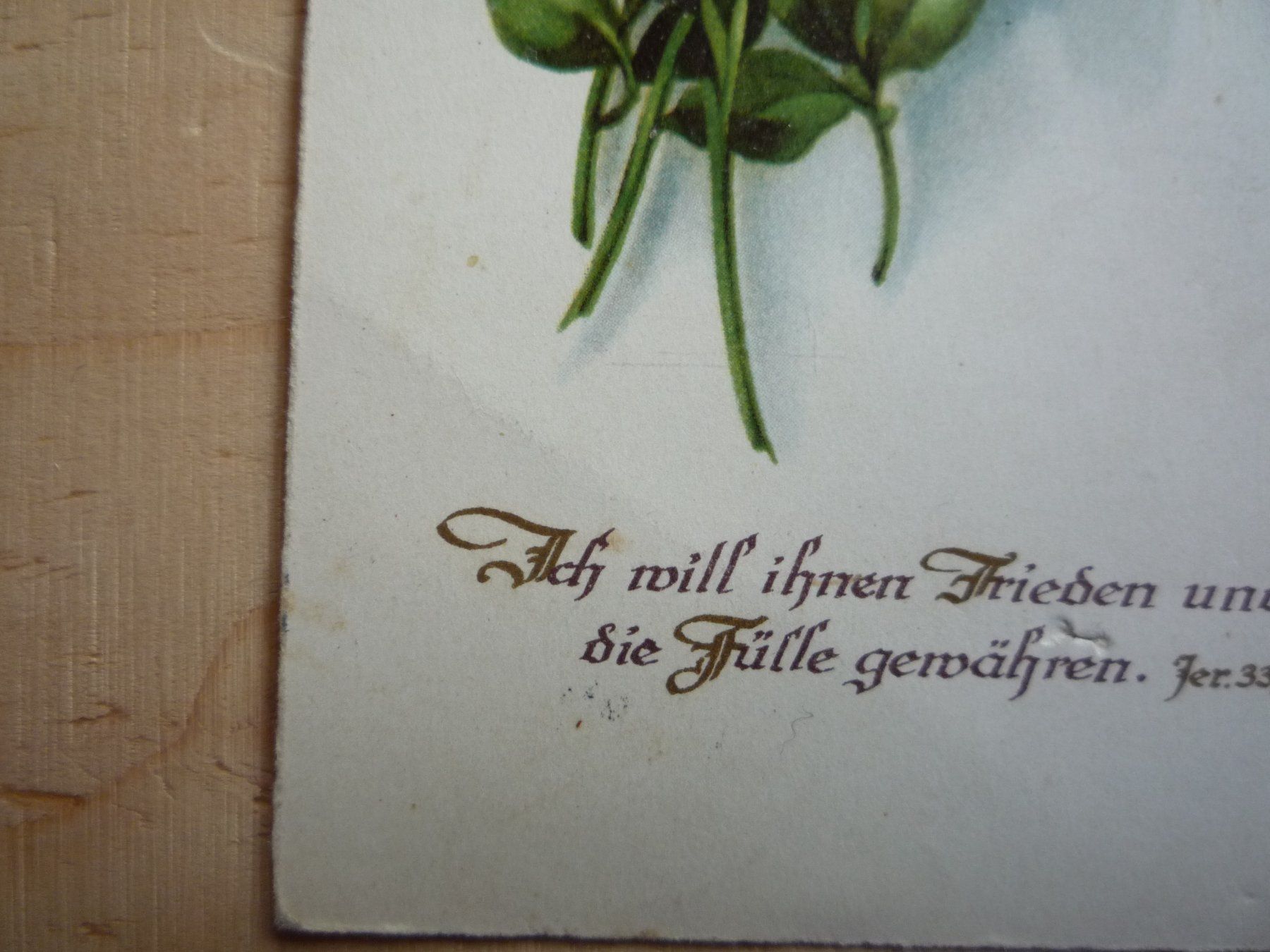 Cartoline postali: Blume mit Bibelspruch, 3.XII.30 – Usato da Rieden SG venduto da Brockehuesli 2