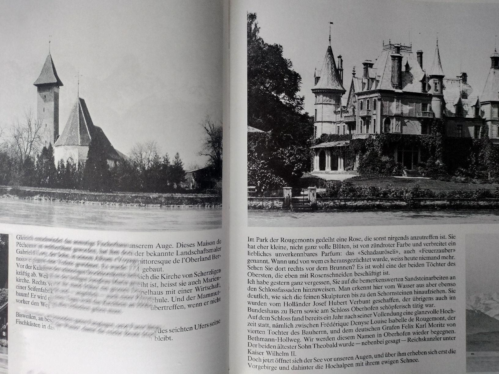 Libri: Buch , mein Thunersee, Rechtes Ufer – Usato da Schwanden Sigrisw venduto da cadieux71 3