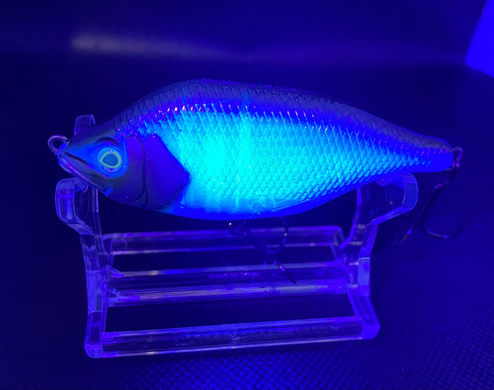 Esche: Fox Rage Hitcher 80 Lipless Jerkbait – Nuovo (secondo la descrizione) da Widnau venduto da Fishingtackle_Oggy 2