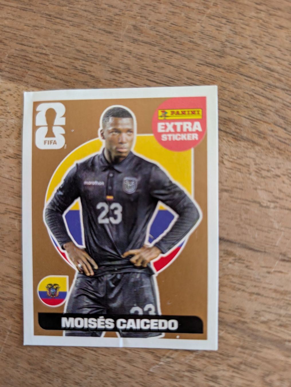 Panini Carte collezionabili: Panini FIFA Sticker Moises Caicedo Ecuador – Nuovo (secondo la descrizione) da Kriens venduto da RaKe_81
