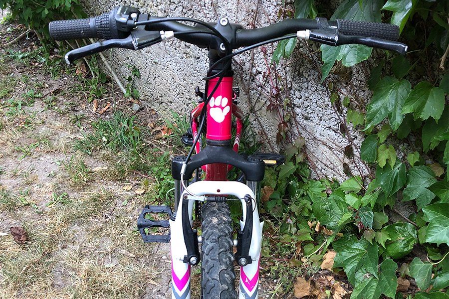 Velo muddyfox 20 online pouces