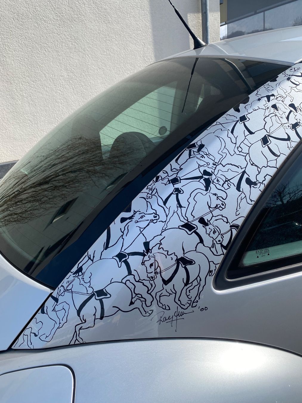 VW Automobili: VW New Beetle – Usato da Liebefeld venduto da mad_5mqd 2