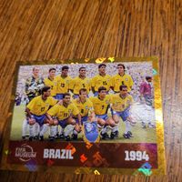 Panini 26 FWC 15