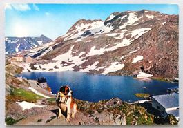 Valle d' Aosta - Valico Gd. S. Bernardo m. 2476