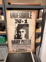 2x Harry Potter Poster Quidditch Hogwarts gerahmt 61x95 cm