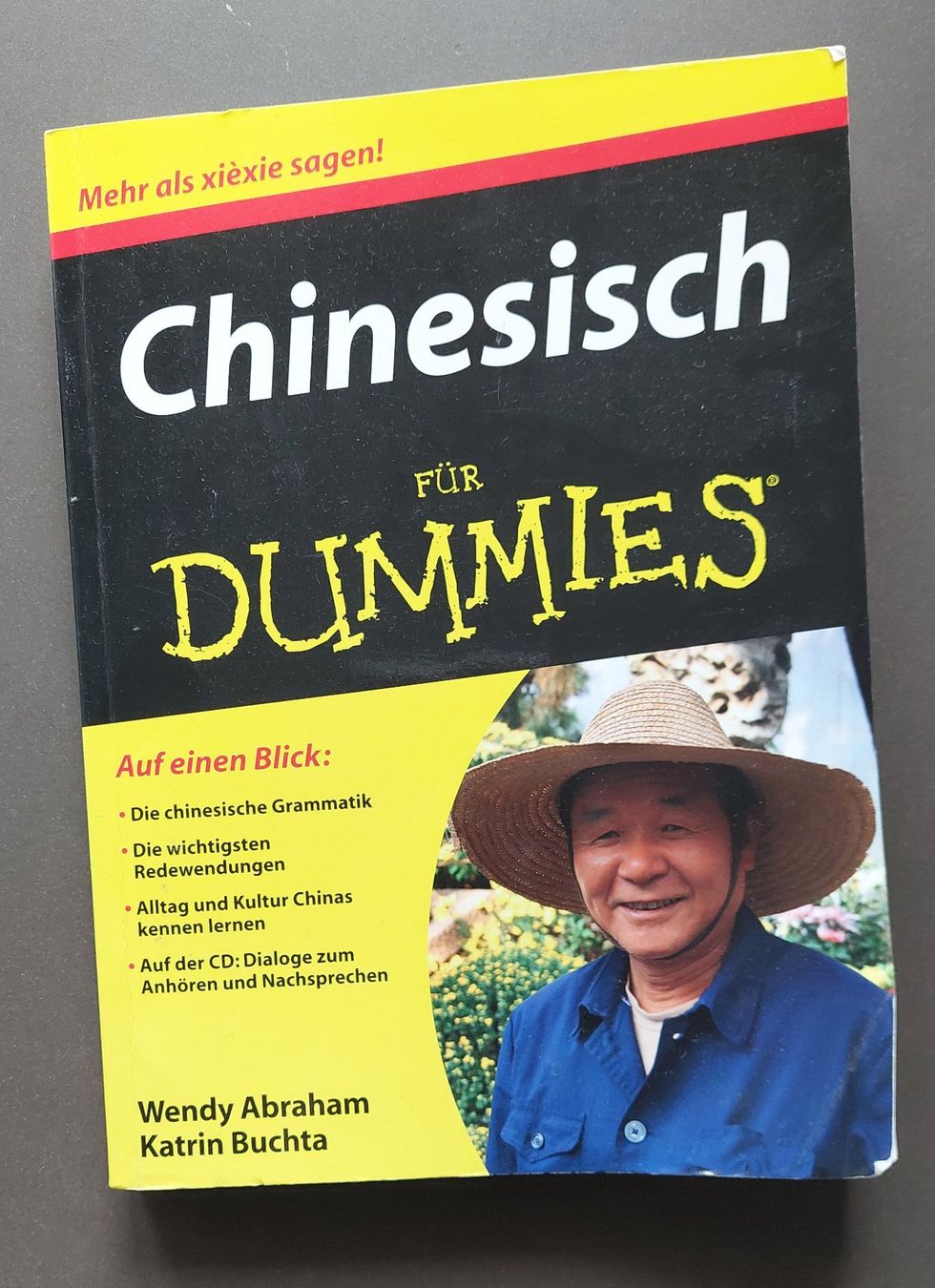 Libri: Chinesisch für Dummies – Usato da Jona venduto da Loki40