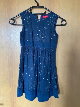 S. Oliver Kleid / 110